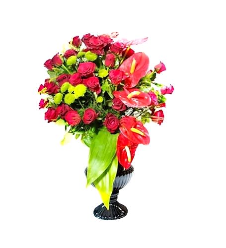 Premium Güller kategori ikonu