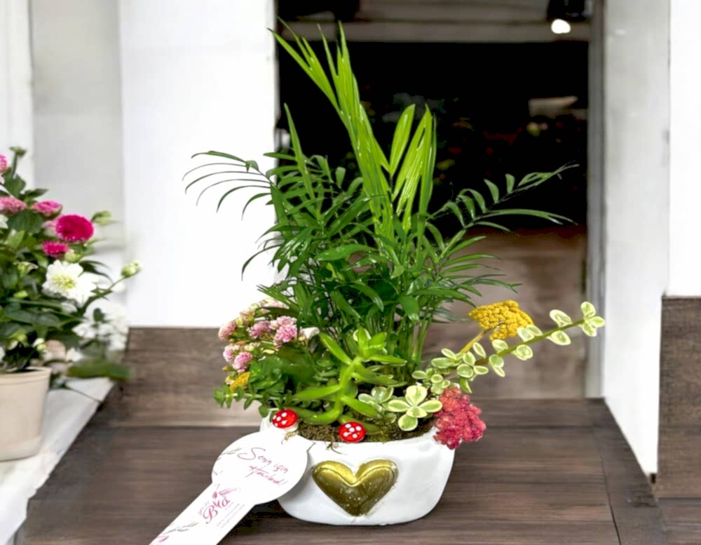 susuz kalan çiçek nasıl canlandırılır?