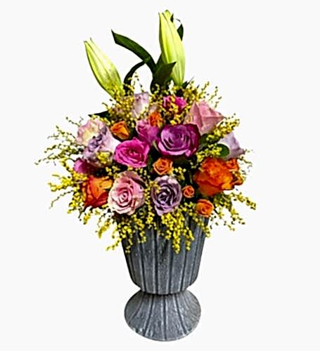 Tıp Bayramı Çiçekleri kategori ikonu