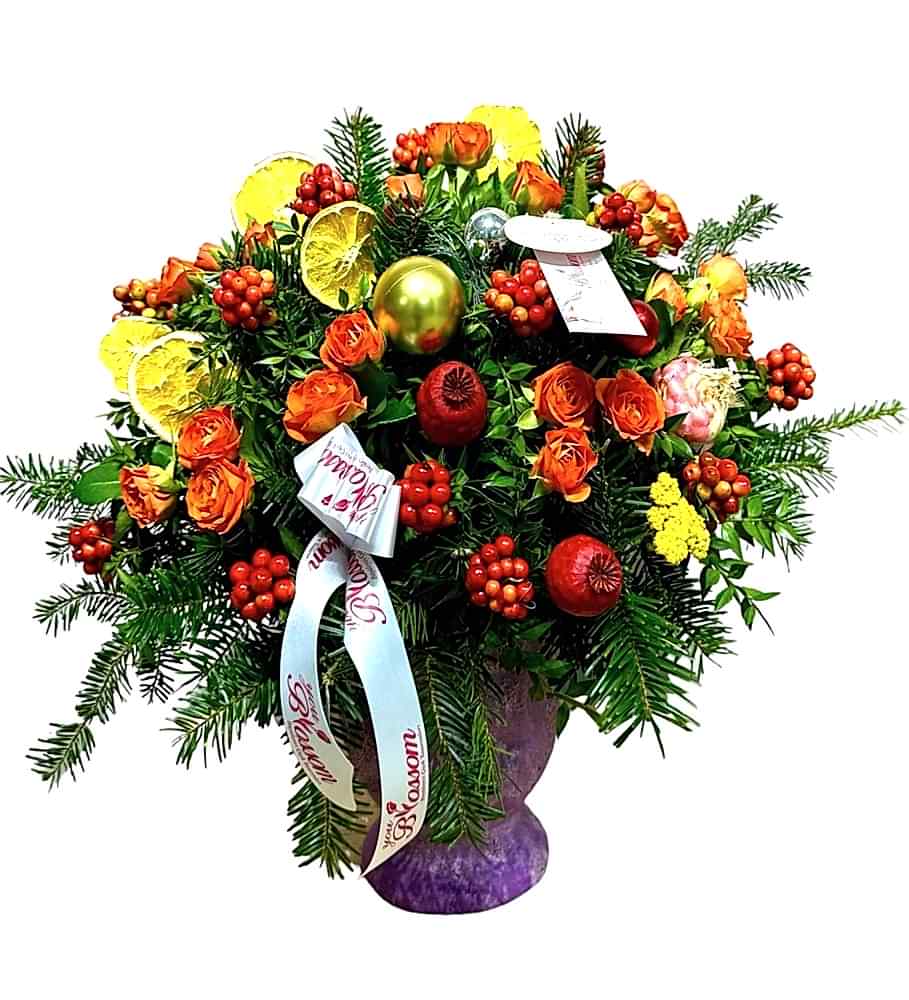 Kokina kategori ikonu