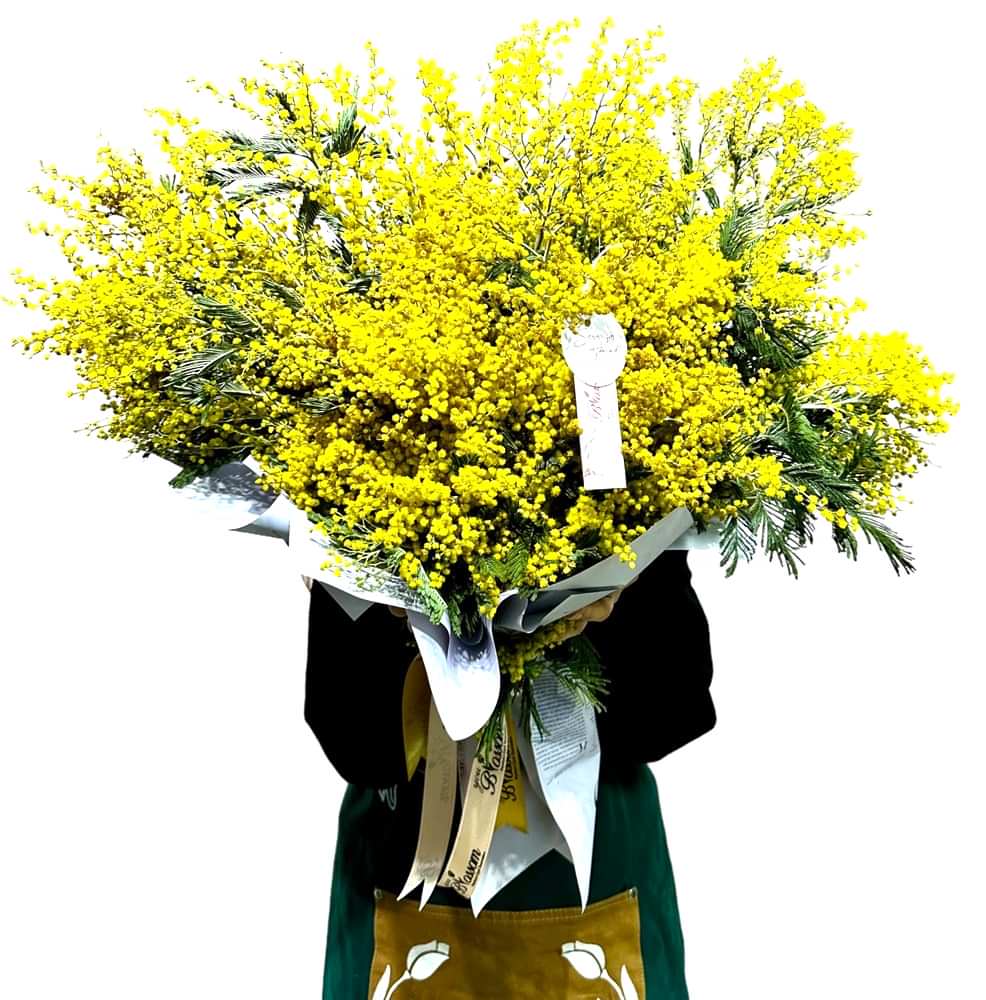 Mimoza kategori ikonu