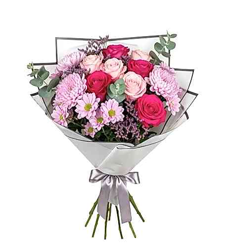 Anastasia kategori ikonu